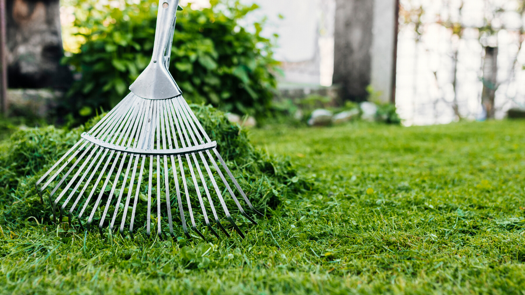 5 Ways to Prepare Your Yard for Spring